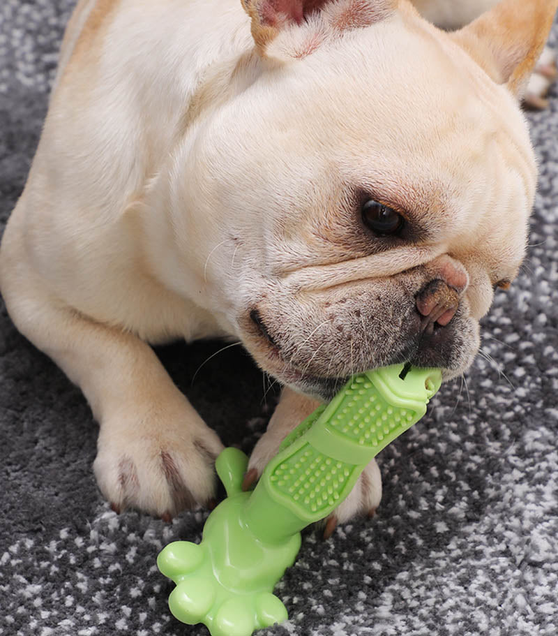 SweetPetStory® Toothbrush Toy