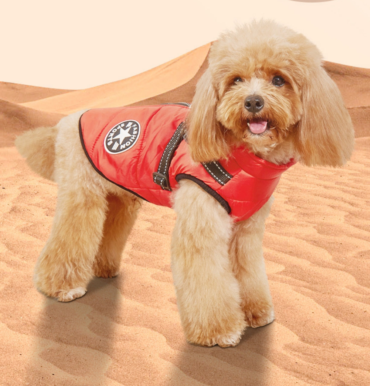 SweetPetStory® Dog Winter Jacket With Harness