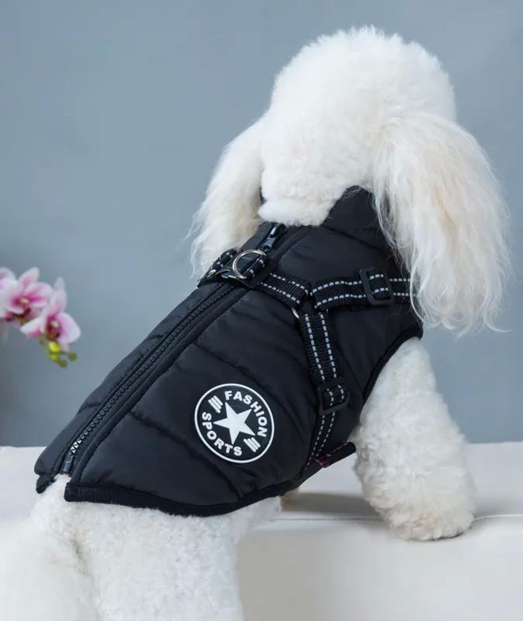 SweetPetStory® Dog Winter Jacket With Harness
