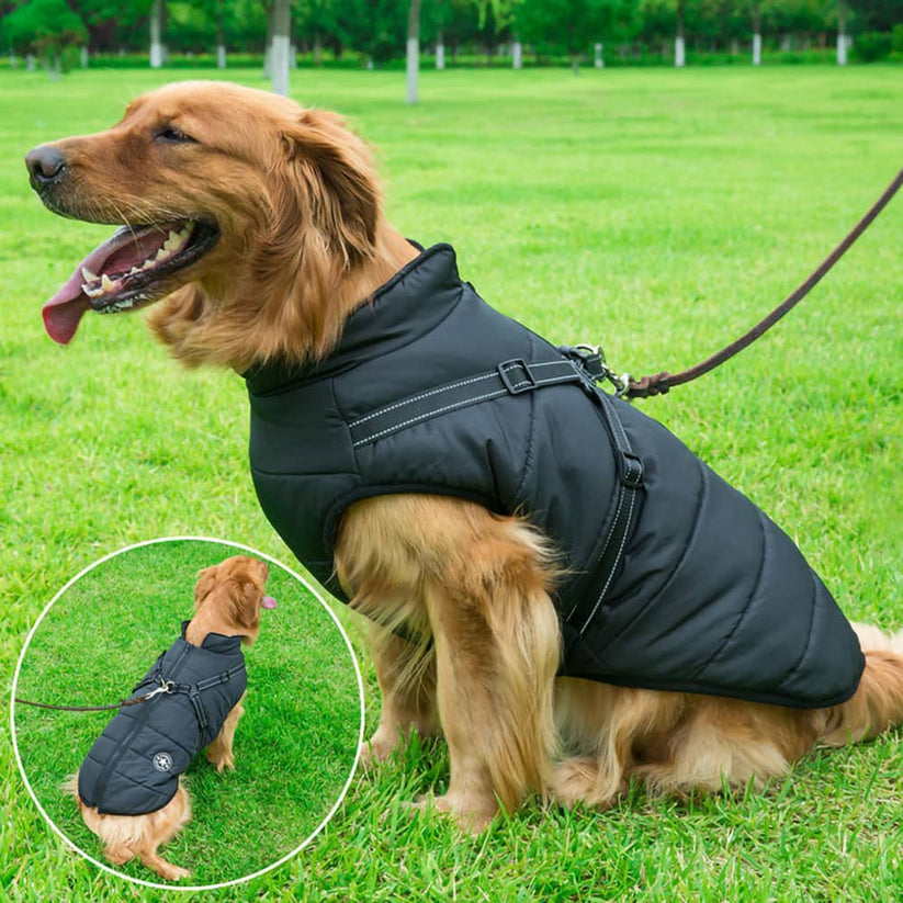 SweetPetStory® Dog Winter Jacket With Harness