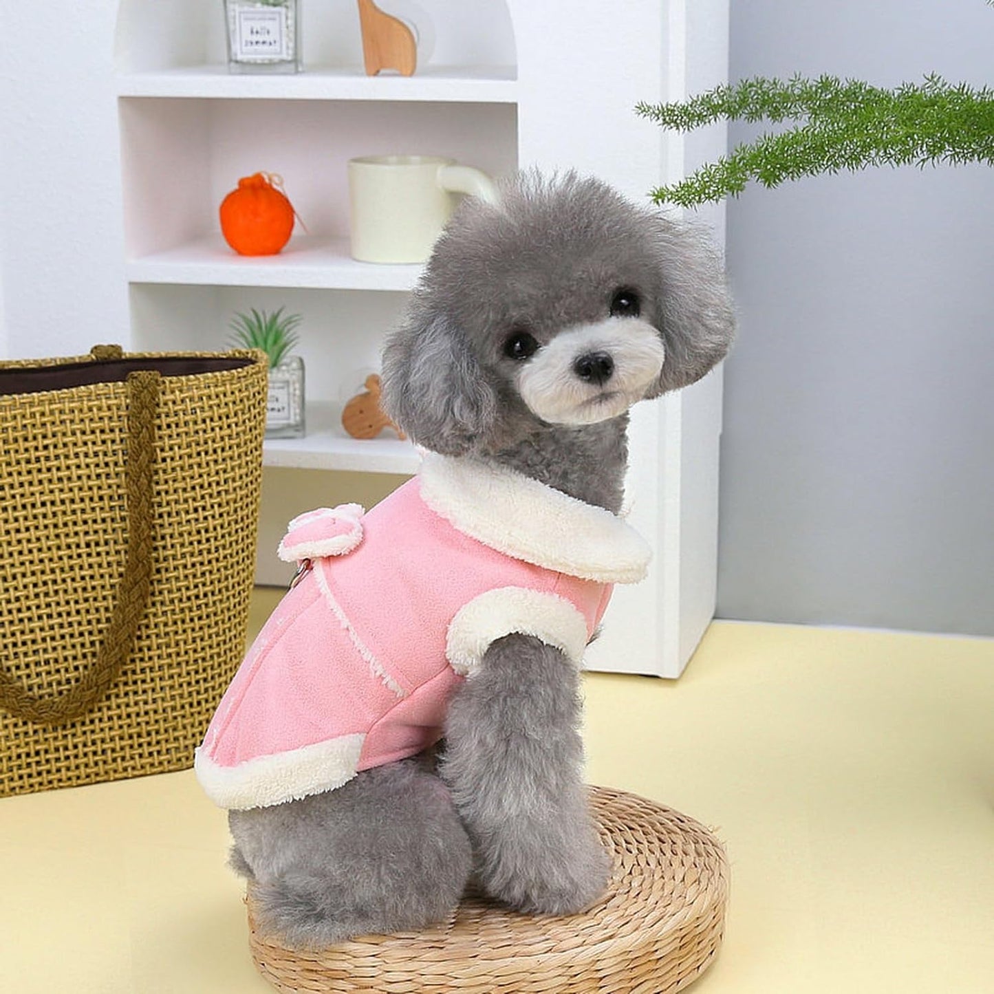 SweetPetStory® Cute Stylish Dog Coat